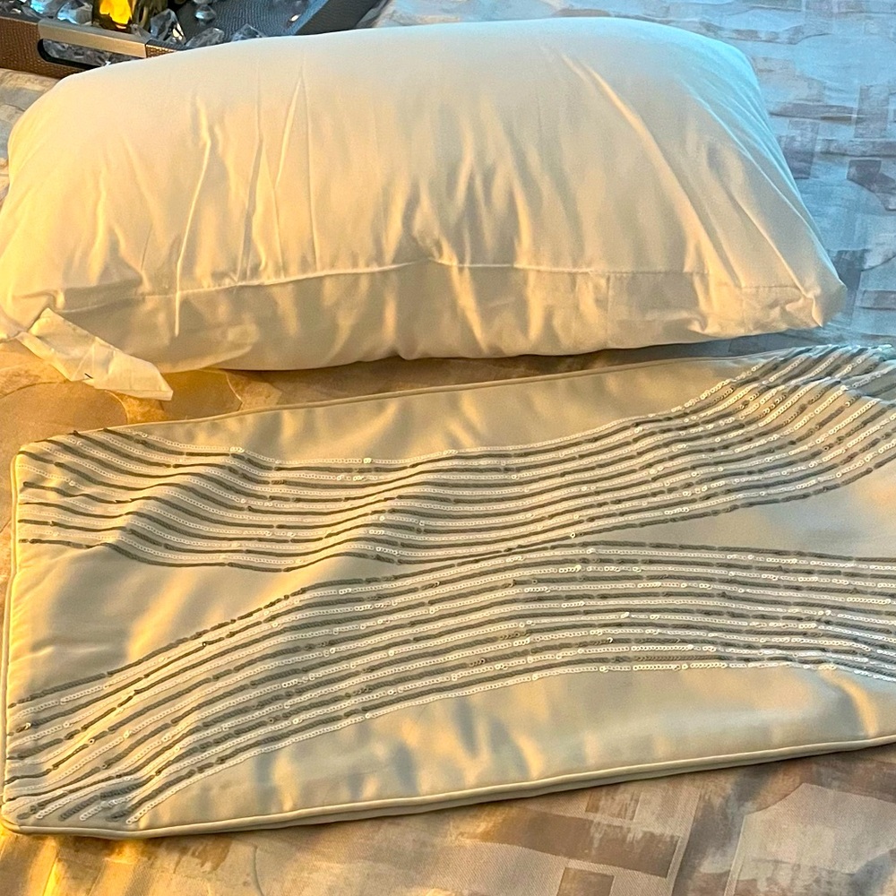Like New Sequin Accent Pillow and Case.